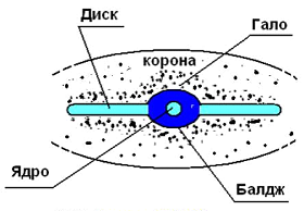 На схеме ниже показано строение нефрона. Рис. 2 (a) Назовите конструкции, отмече